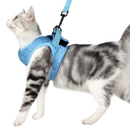 Adjustable Kitten Walking Harness