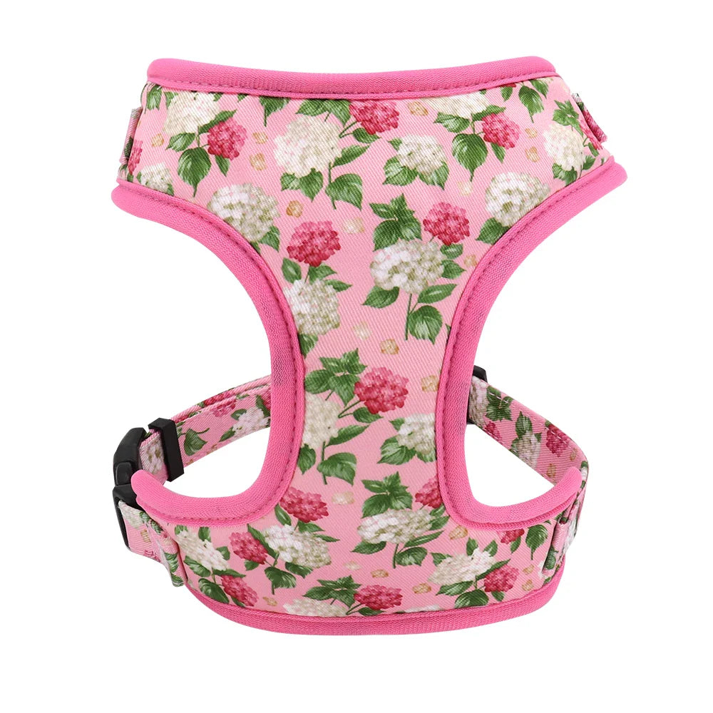 Cute Printed Dog Harness Set