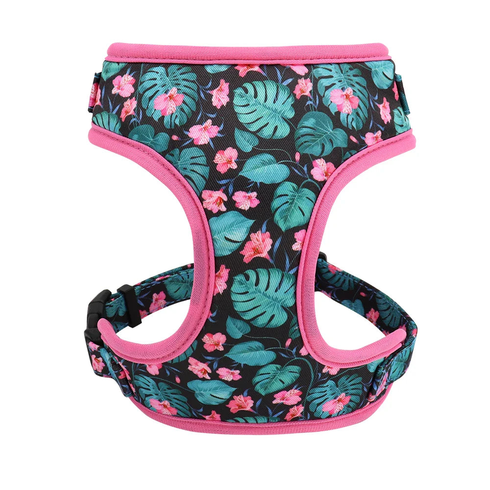 Cute Printed Dog Harness Set