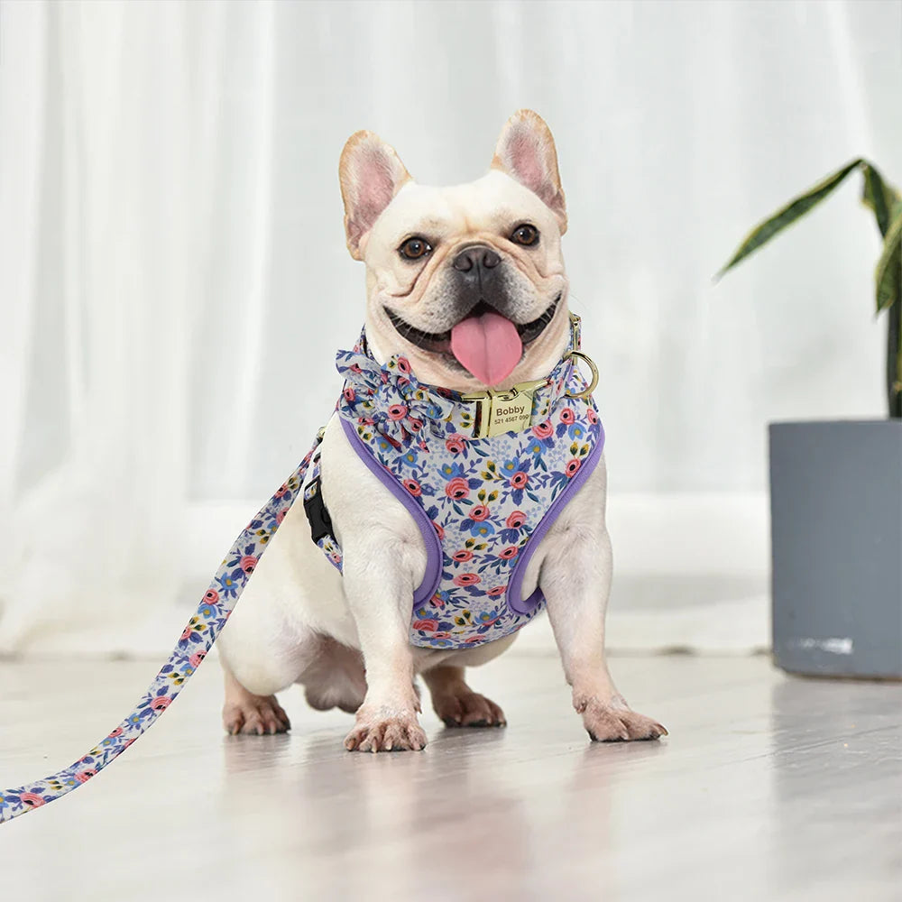 Cute Printed Dog Harness Set