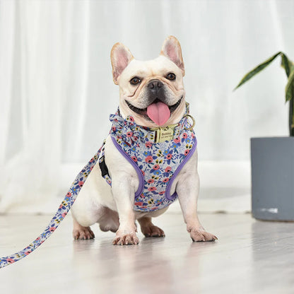 Cute Printed Dog Harness Set