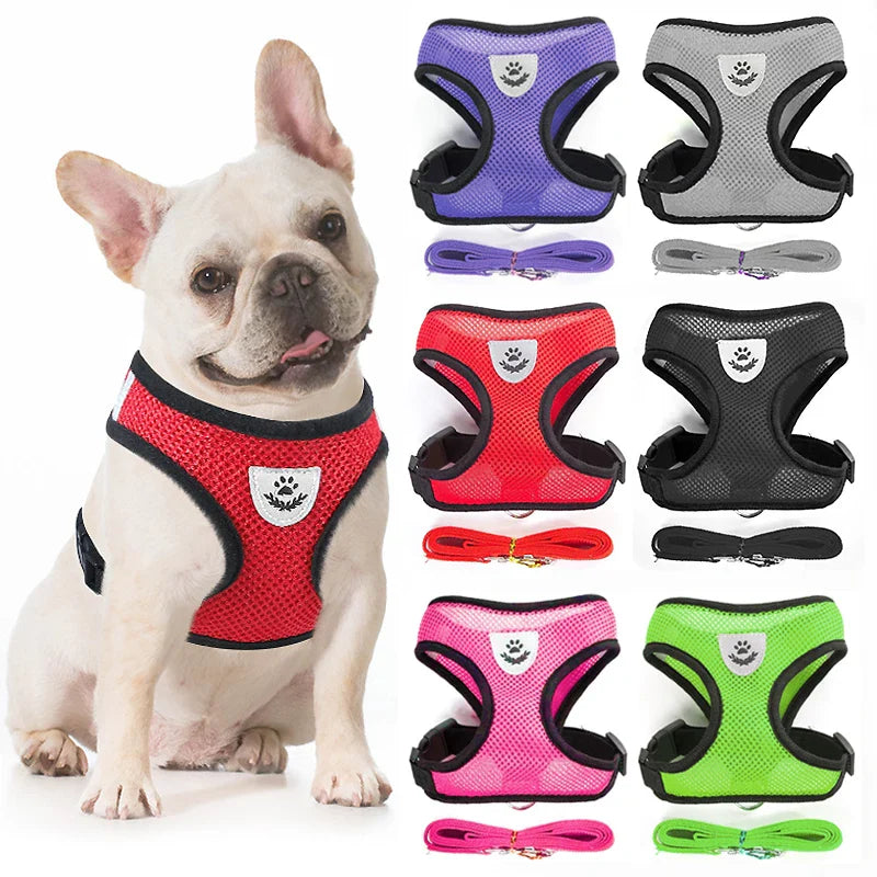Breathable Mesh Pet Harness Set