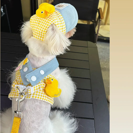 Puppy Pet Harness Leash Set