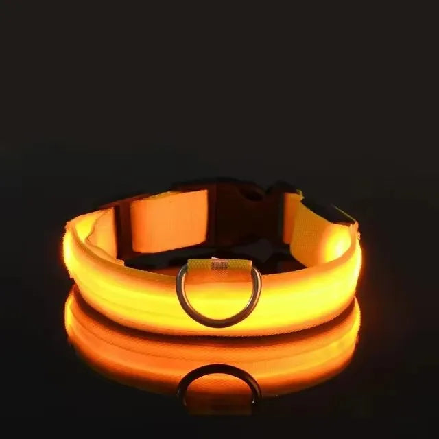 BOOTEELY LED Glow Dog Leash