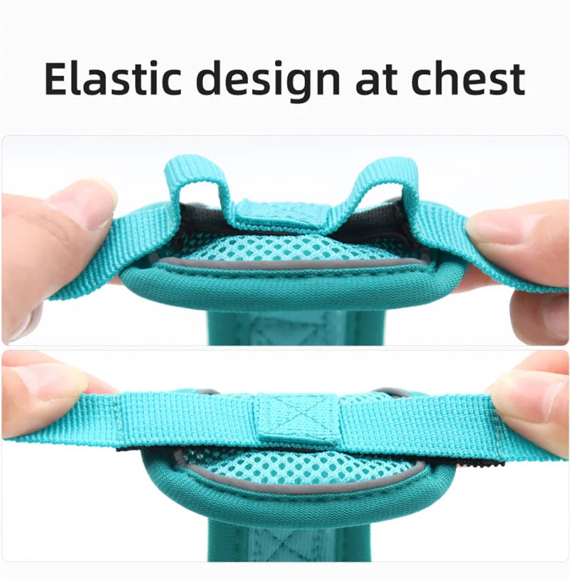 Reflective Mesh Cat Harness Set