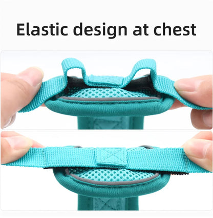 Reflective Mesh Cat Harness Set