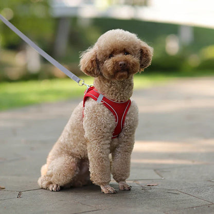 CDDMPET Adjustable Dog Harness Leash Set