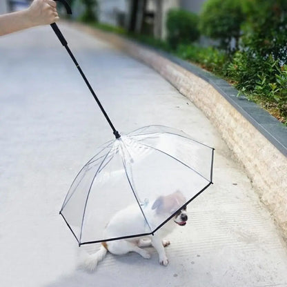 Clear Dog Umbrella with Leash