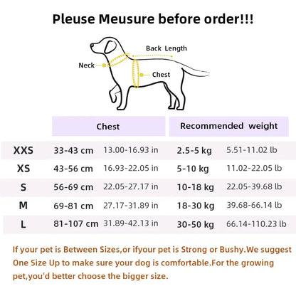 Summer Vest Dog Harness