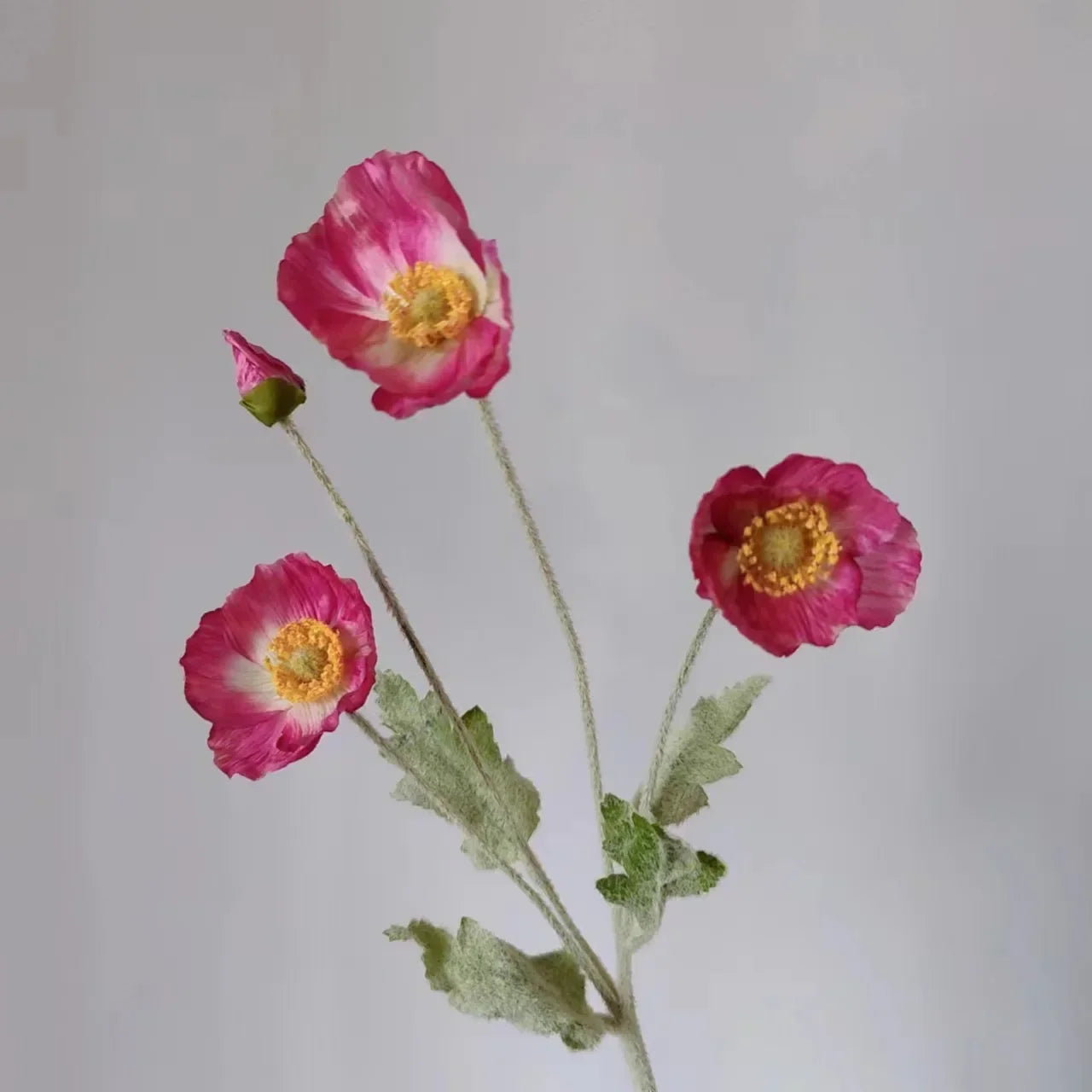 Silk Poppy Flower Stem