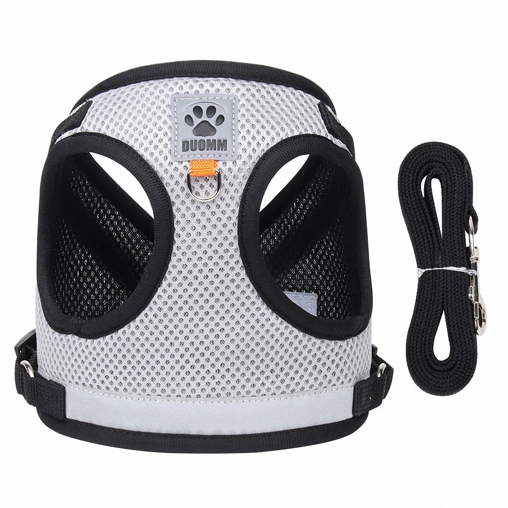Summer Mesh Pet Harness Set