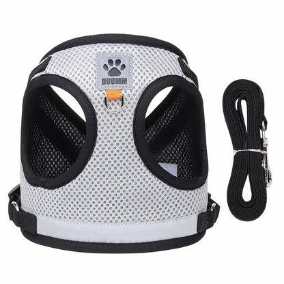 Summer Mesh Pet Harness Set