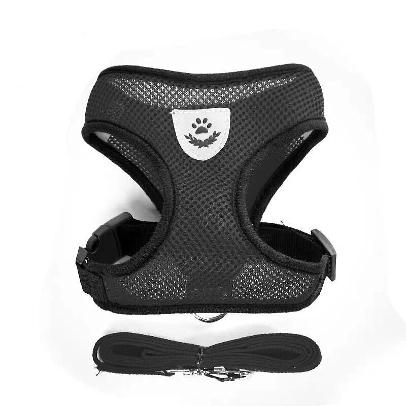 Breathable Mesh Pet Harness Set