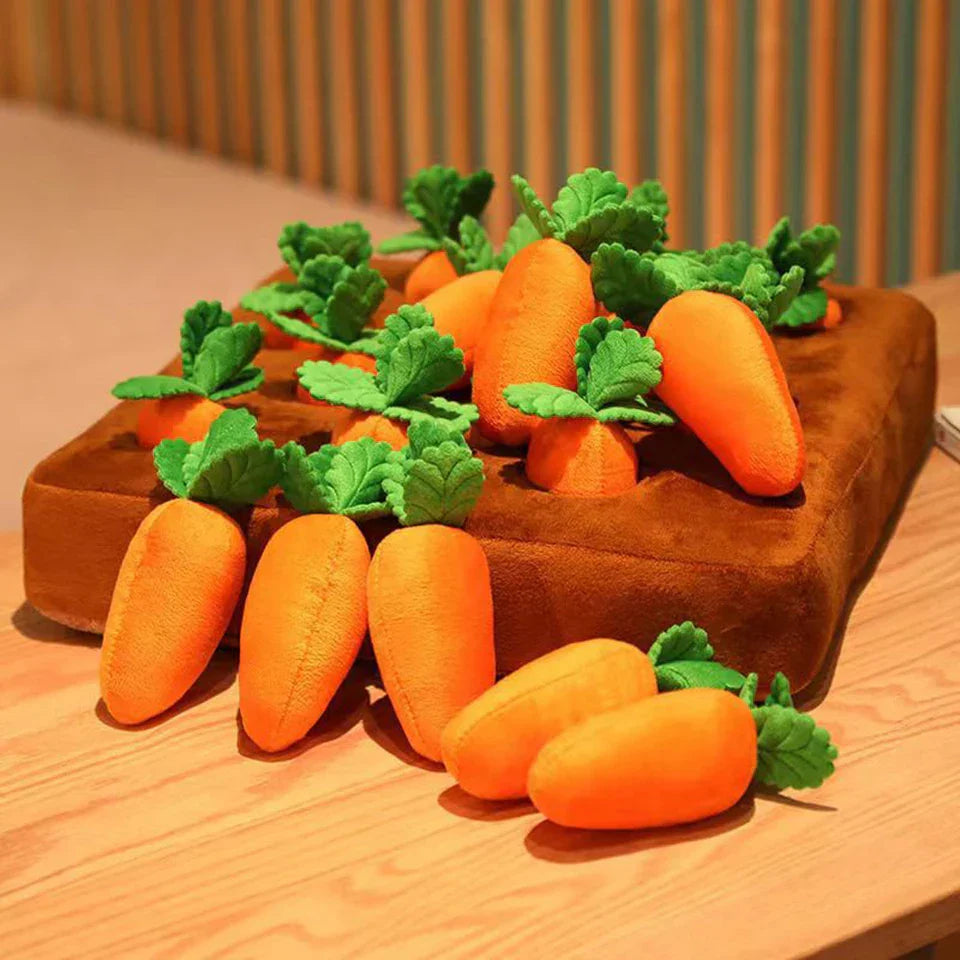 NONOR Carrot Puzzle Chew Toy