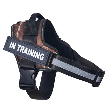 Personalized Reflective No-Pull Harness          Ask ChatGPT