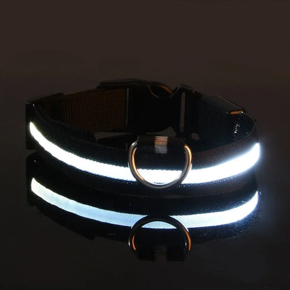 LED Glow Nylon Dog Leash