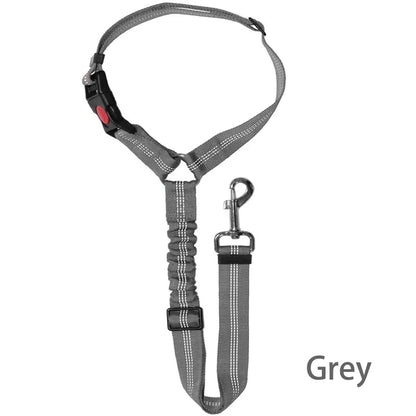 2-in-1 Dog Car Harness