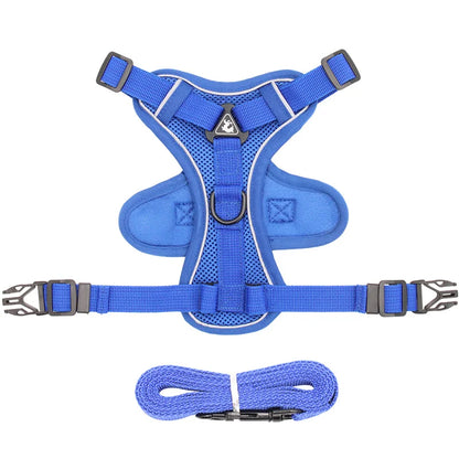 Reflective Mesh Cat Harness Set