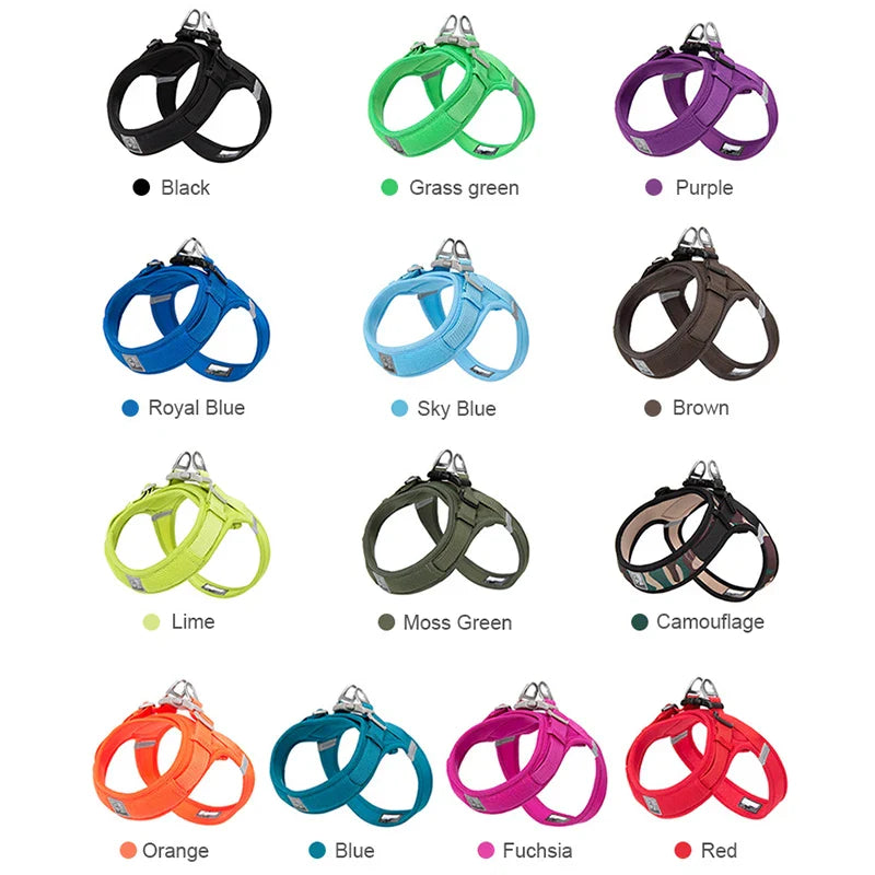 Truelove Breathable Dog Harness