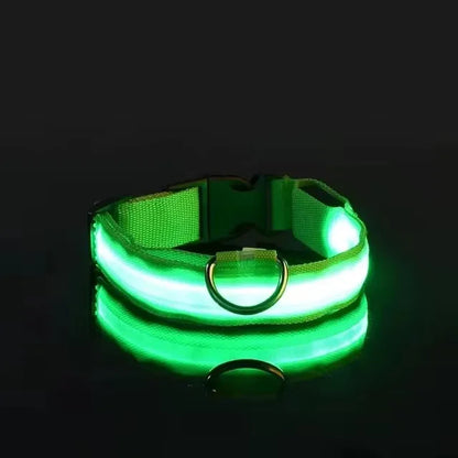 BOOTEELY LED Glow Dog Leash