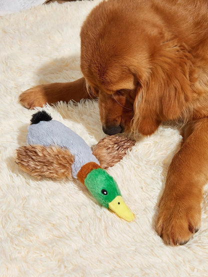 Wild Duck Plush Dog Toy