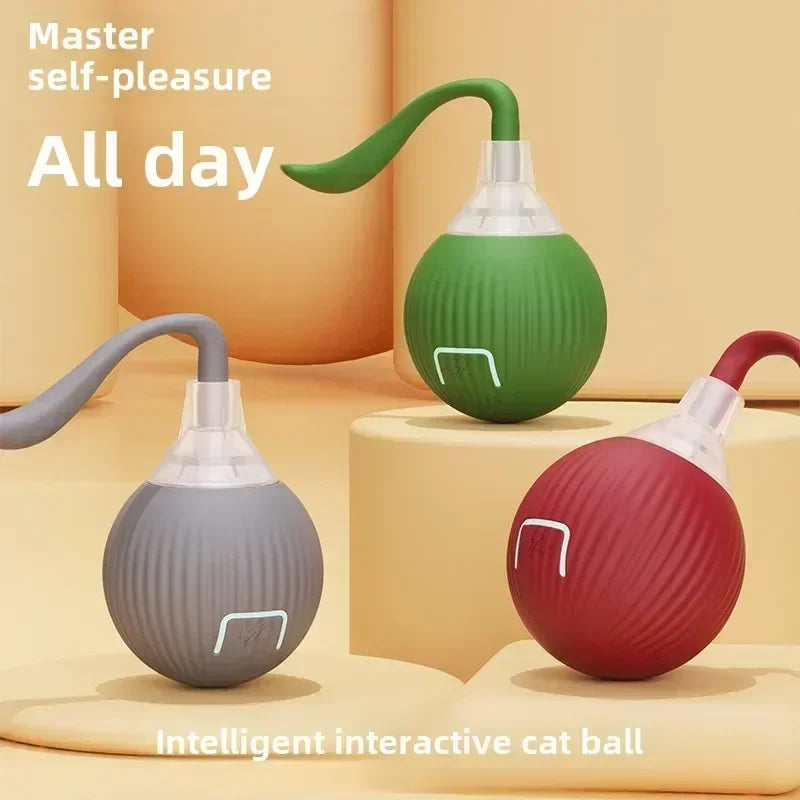 Rechargeable Interactive Cat Ball Toy