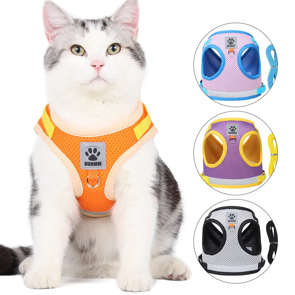 Summer Mesh Pet Harness Set
