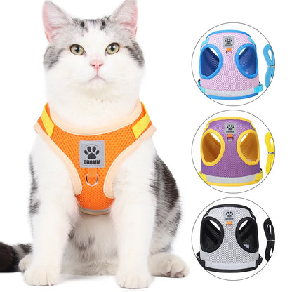 Summer Mesh Pet Harness Set