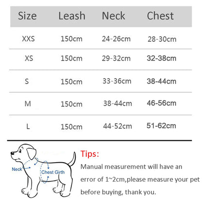CDDMPET Adjustable Dog Harness Leash Set