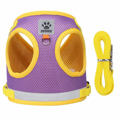 Summer Mesh Pet Harness Set