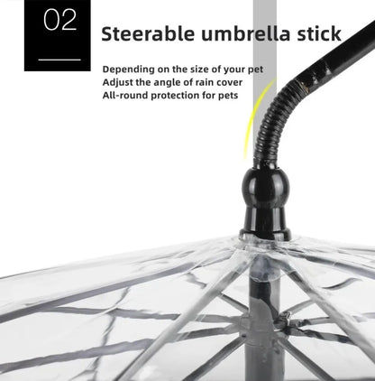 Transparent Dog Umbrella Leash