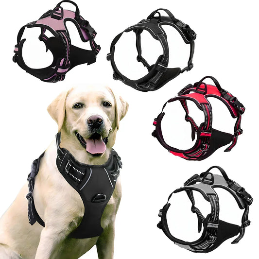 German Oak Cooling Dog Set