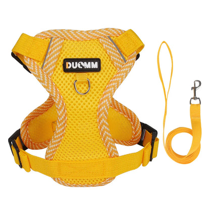 Reflective Mesh Cat Harness Set