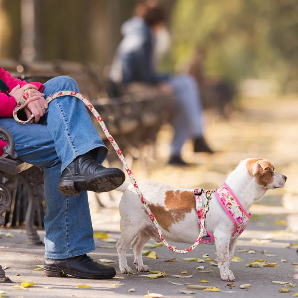 Cute Printed Pet Harness Set