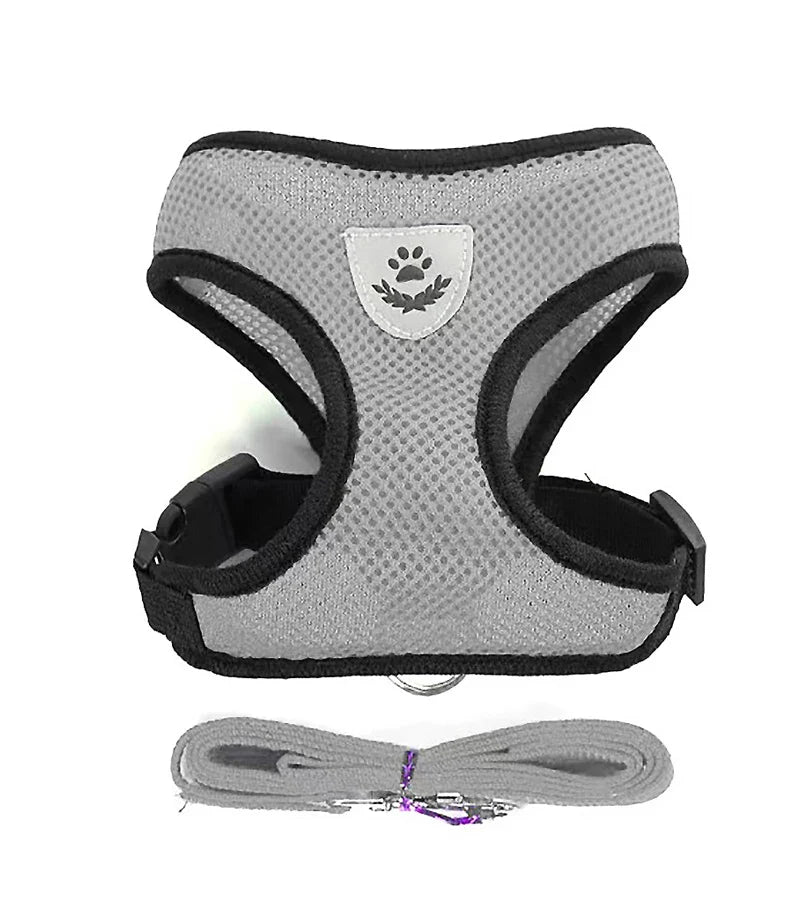 Breathable Mesh Pet Harness Set
