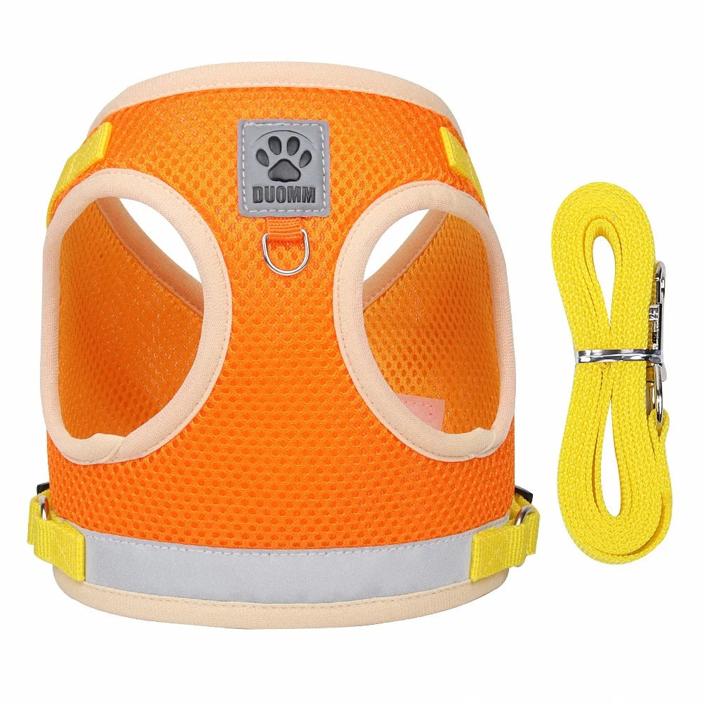 Summer Mesh Pet Harness Set