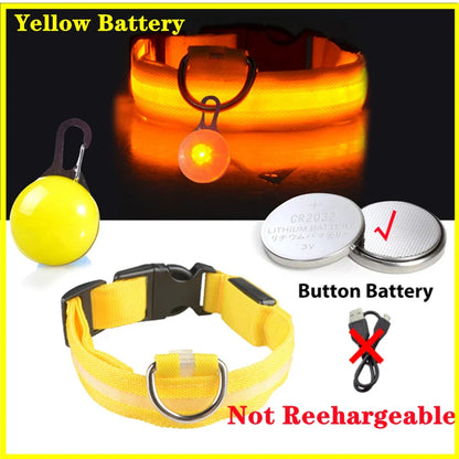 COOYOMOO USB Charging Glowing Dog Collar