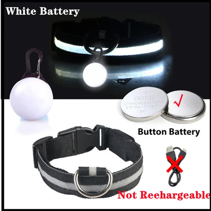 COOYOMOO USB Charging Glowing Dog Collar