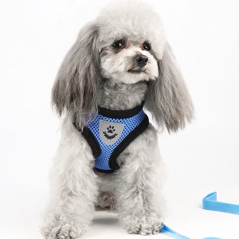 Breathable Mesh Pet Harness Set