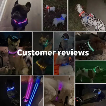 LED Glowing Adjustable Dog Collar