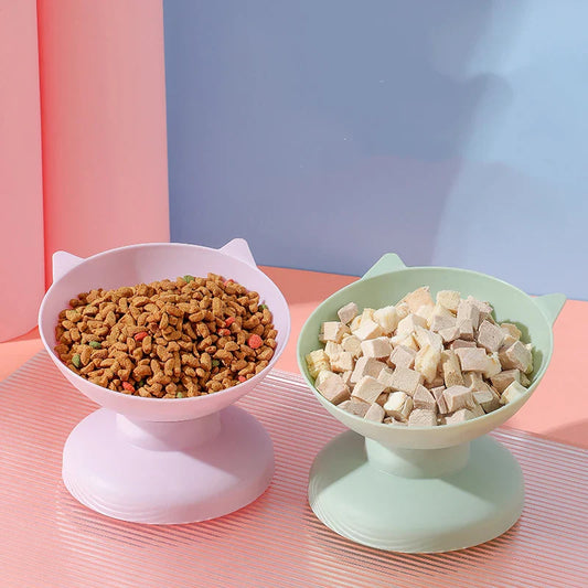 Tilted Pet Food Water Bowl