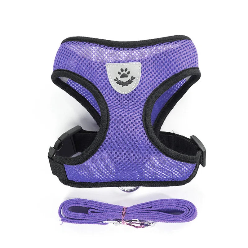 Breathable Mesh Pet Harness Set