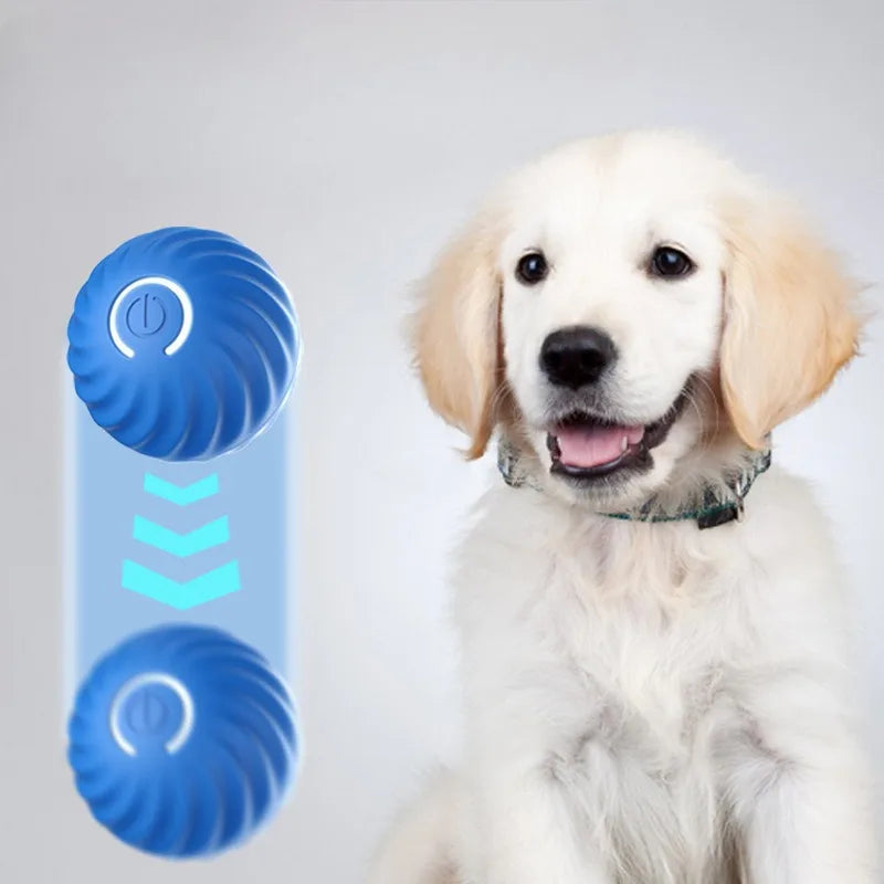 Smart Moving Dog Toy Ball