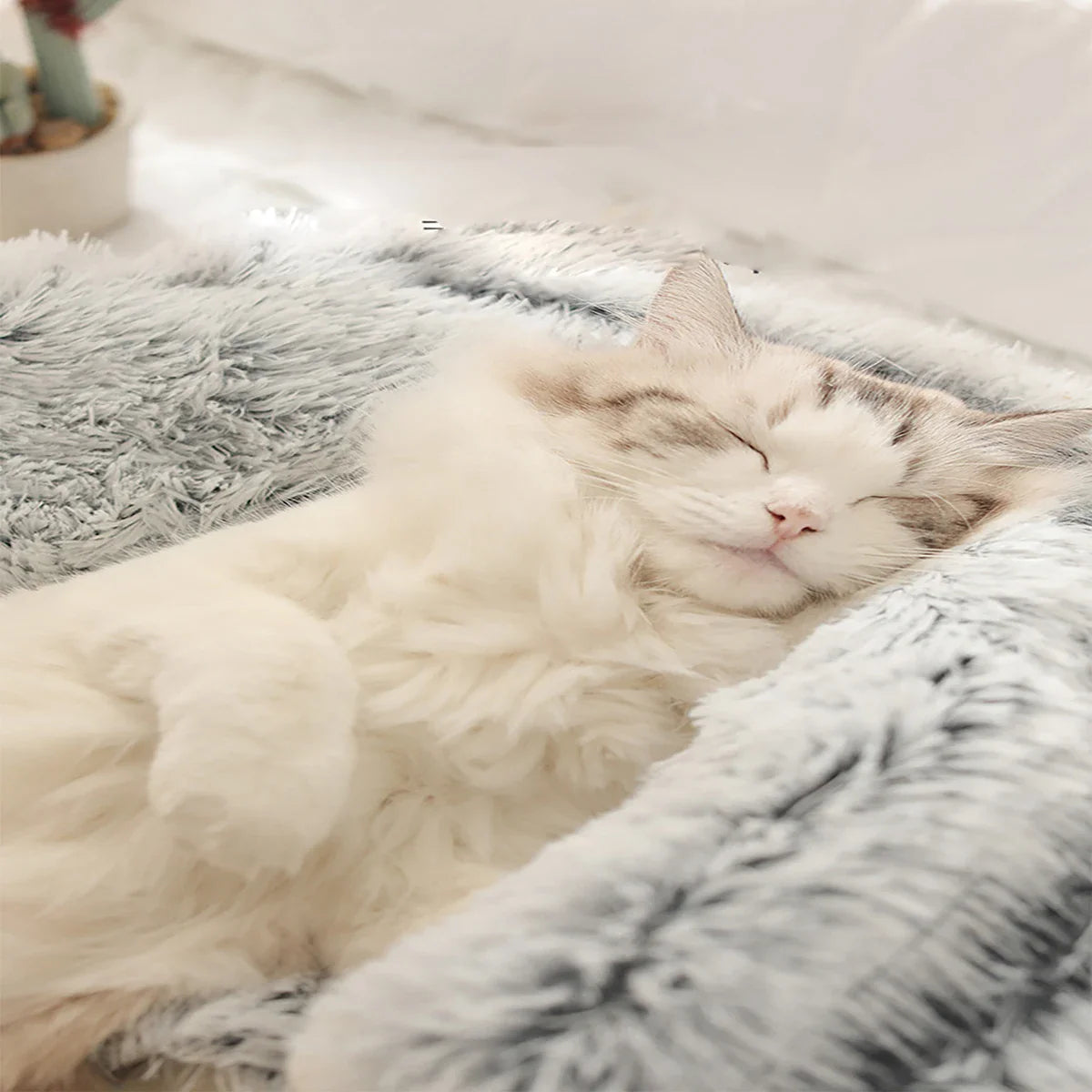 Cozy Plush Hooded Pet Bed