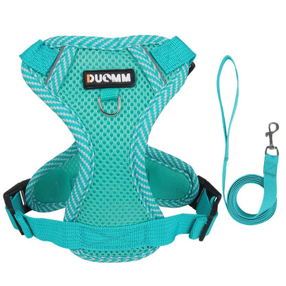 Reflective Mesh Cat Harness Set