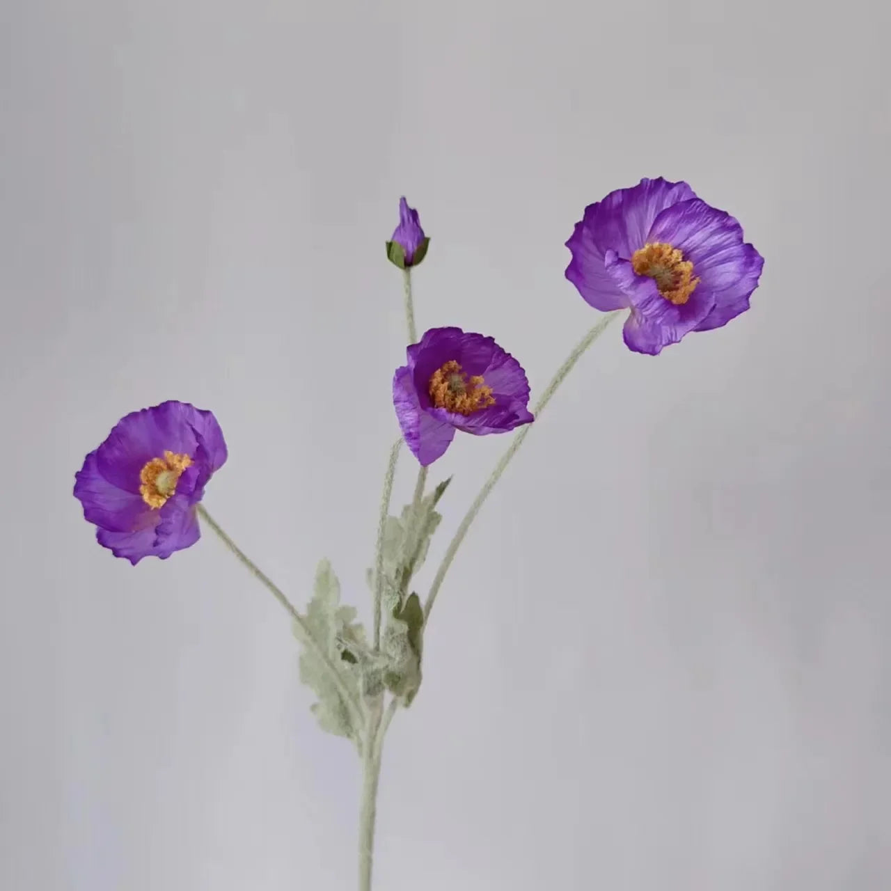 Silk Poppy Flower Stem