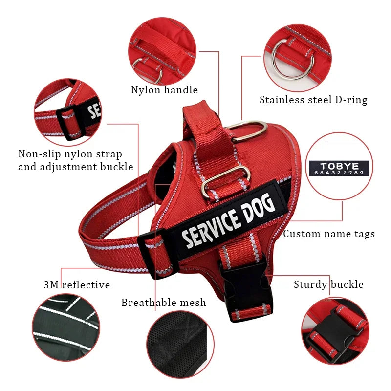 Personalized Reflective No-Pull Harness          Ask ChatGPT