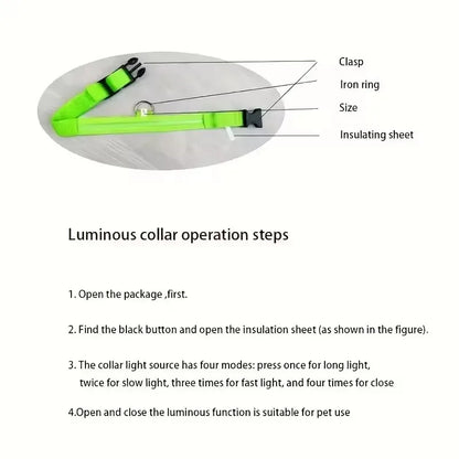 BOOTEELY LED Glow Dog Leash