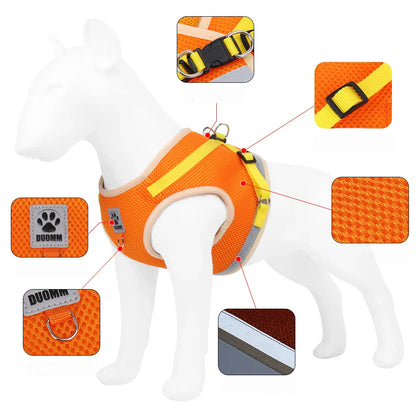 Summer Mesh Pet Harness Set