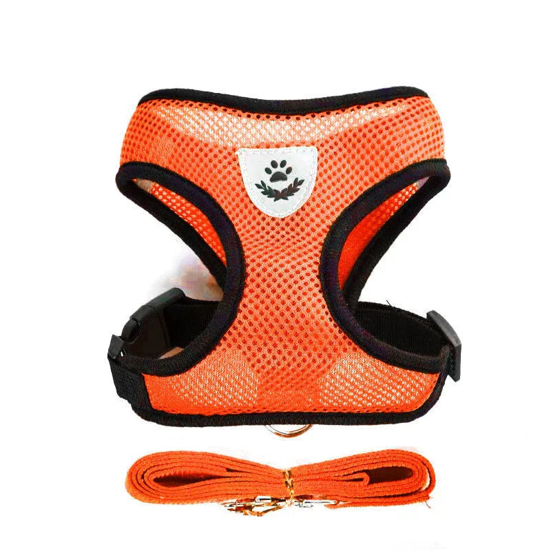 Breathable Mesh Pet Harness Set